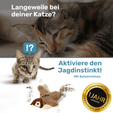 MeowMotion - Das ultimative Katzenspielzeug für Spaß und Bewegung